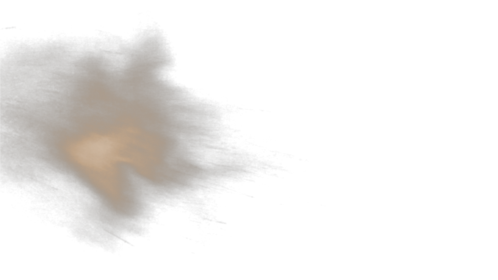 Dust Gust