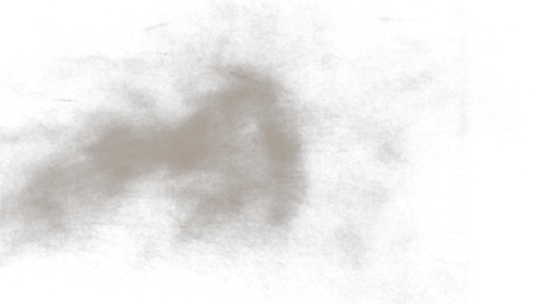 Dust Gust 2