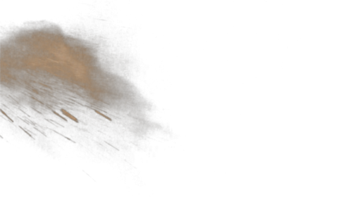 Dust Gust 3