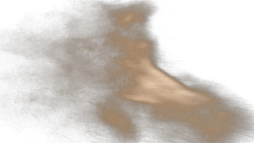 Dust Gust 5