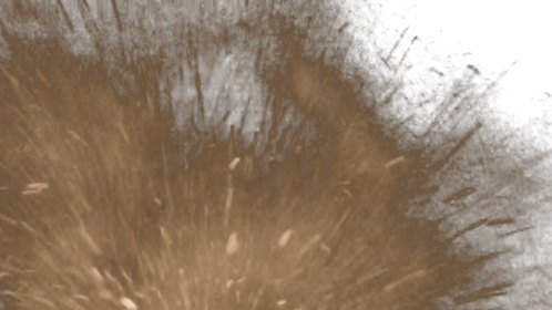 Dust Wave At Cam