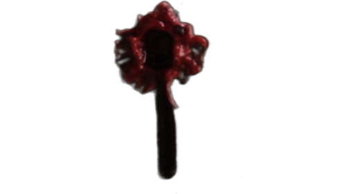 Bullet Wound Flesh