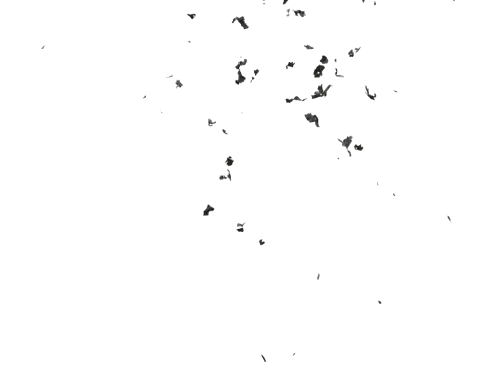 (4K) Stylized Ash Burning 12 