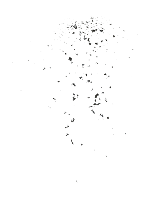 (4K) Stylized Ash Burning 15 