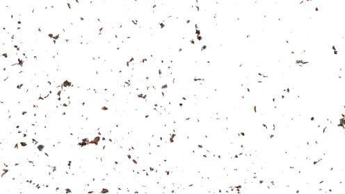 (4K) Stylized Ash Burning 16 