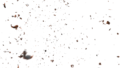 (4K) Stylized Ash Burning 17 