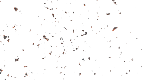 (4K) Stylized Ash Burning 18 