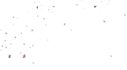 (4K) Stylized Ash Burning 30 