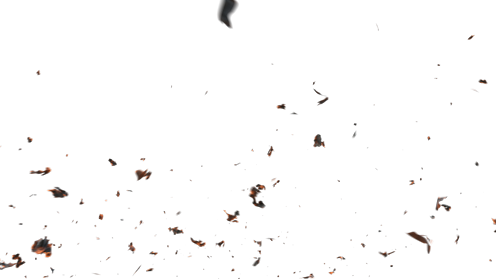 (4K) Stylized Ash Burning 33 