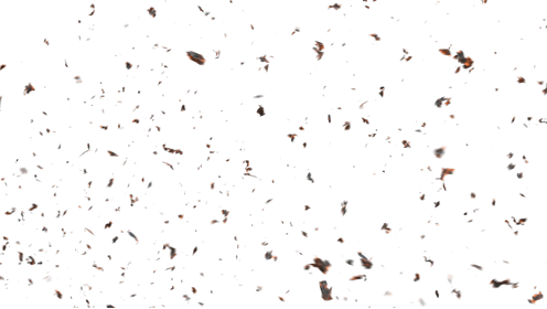 (4K) Stylized Ash Burning 36 