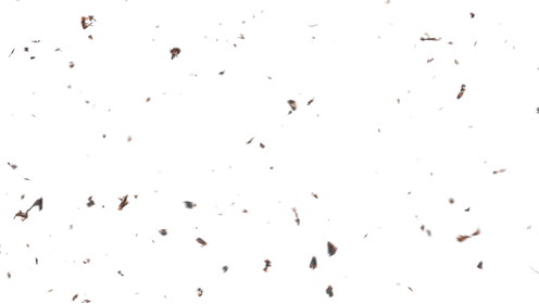 (4K) Stylized Ash Burning 38 