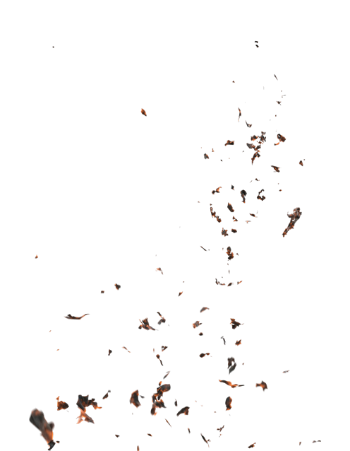 (4K) Stylized Ash Burning 41 