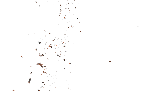 (4K) Stylized Ash Burning 5 