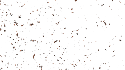 (4K) Stylized Ash Burning 52 