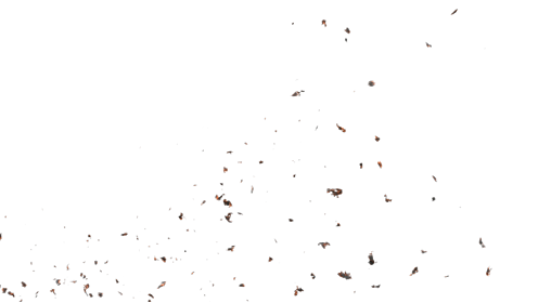 (4K) Stylized Ash Burning 56 