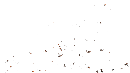 (4K) Stylized Ash Burning 57 