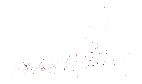 (4K) Stylized Ash Burning 59 