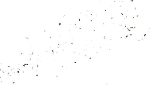 (4K) Stylized Ash Burning 60 