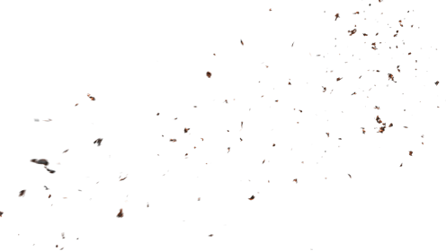 (4K) Stylized Ash Burning 61 