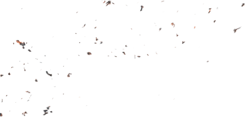 (4K) Stylized Ash Burning 62 
