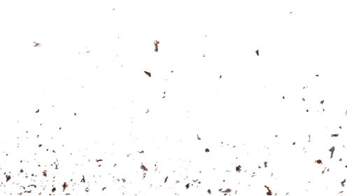 (4K) Stylized Ash Burning 64 
