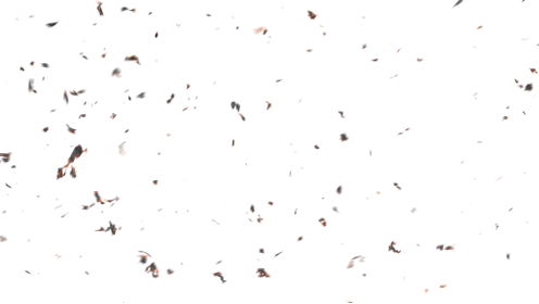 (4K) Stylized Ash Burning 70 