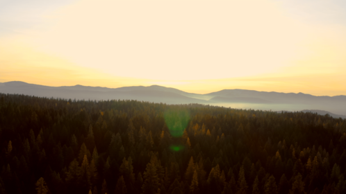(4K) Aerial Fall Wintergreens 5