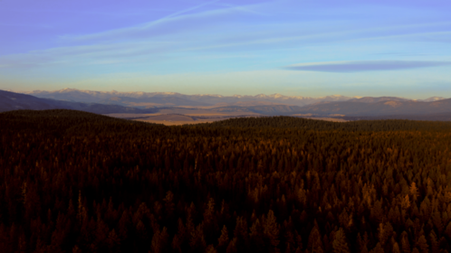 (4K) Aerial Fall Wintergreens 7