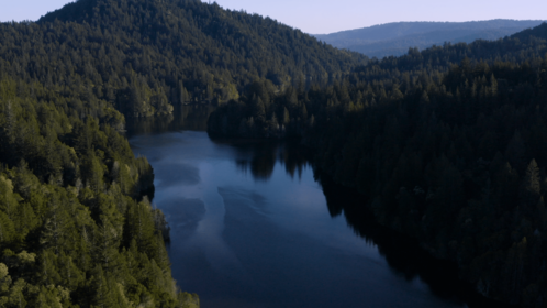 (4K) Aerial Forest Lakes 2 Matte