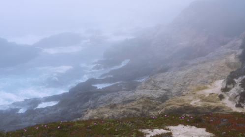 (4K) Aerial Misty Shore 4