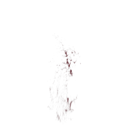 (4K) Blood Thick Slice Head 2