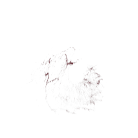 (4K) Blood Thick Slice Head 5