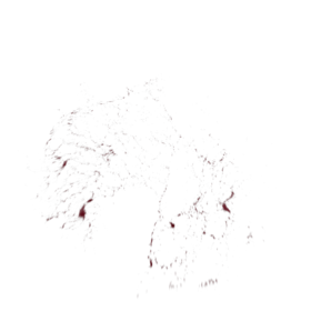 (4K) Blood Thick Slice Head 7