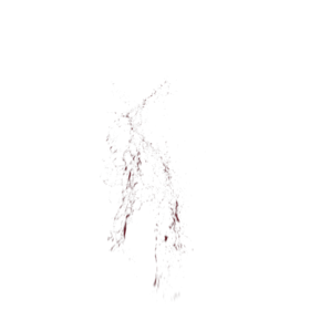 (4K) Blood Thick Slice Head 8