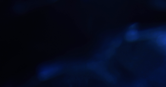 (4K) Crystal Optics 24