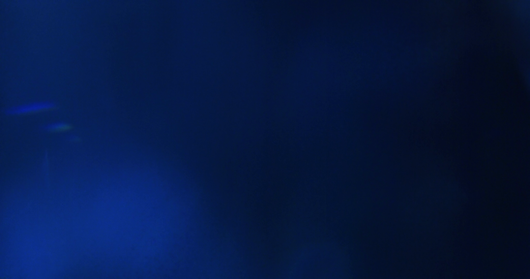 (4K) Crystal Optics 3