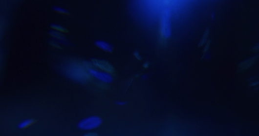 (4K) Crystal Optics 5