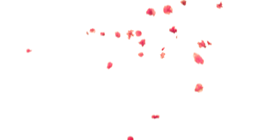 (4K) Falling Flower Petals 11