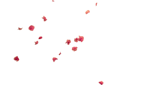 (4K) Falling Flower Petals 2