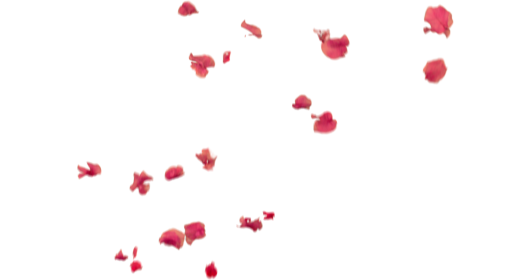 (4K) Falling Flower Petals 3