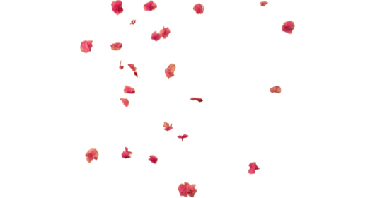 (4K) Falling Flower Petals 5