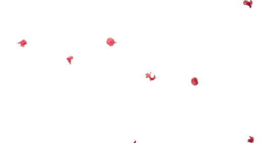 (4K) Falling Flower Petals 7