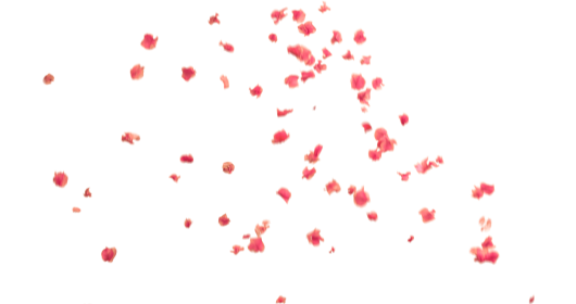 (4K) Falling Flower Petals 8
