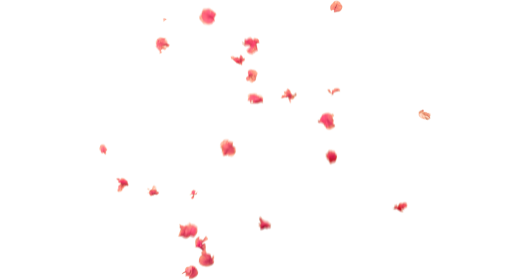 (4K) Falling Flower Petals 9