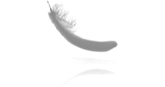 (4K) Feather Drop Reflection 1