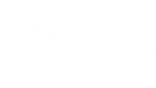 (4K) Fog Burst Sideways 13