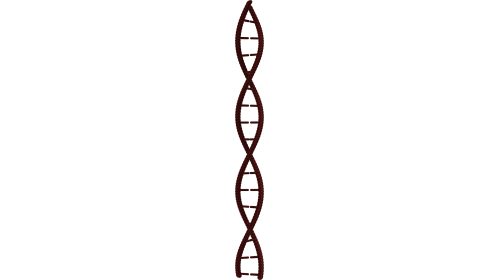 (4K) Looping DNA Molecule 1