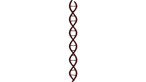 (4K) Looping DNA Molecule 2