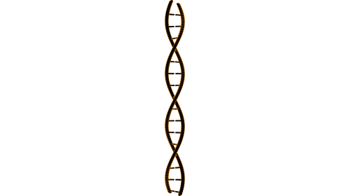 (4K) Looping DNA Molecule 4