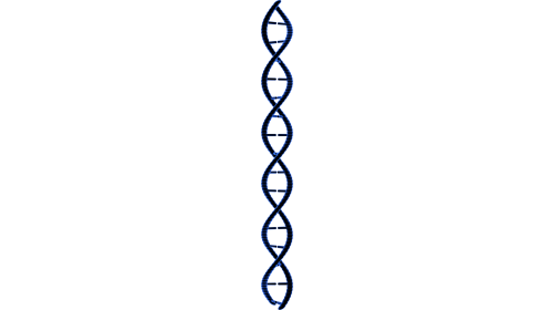 (4K) Looping DNA Molecule 5